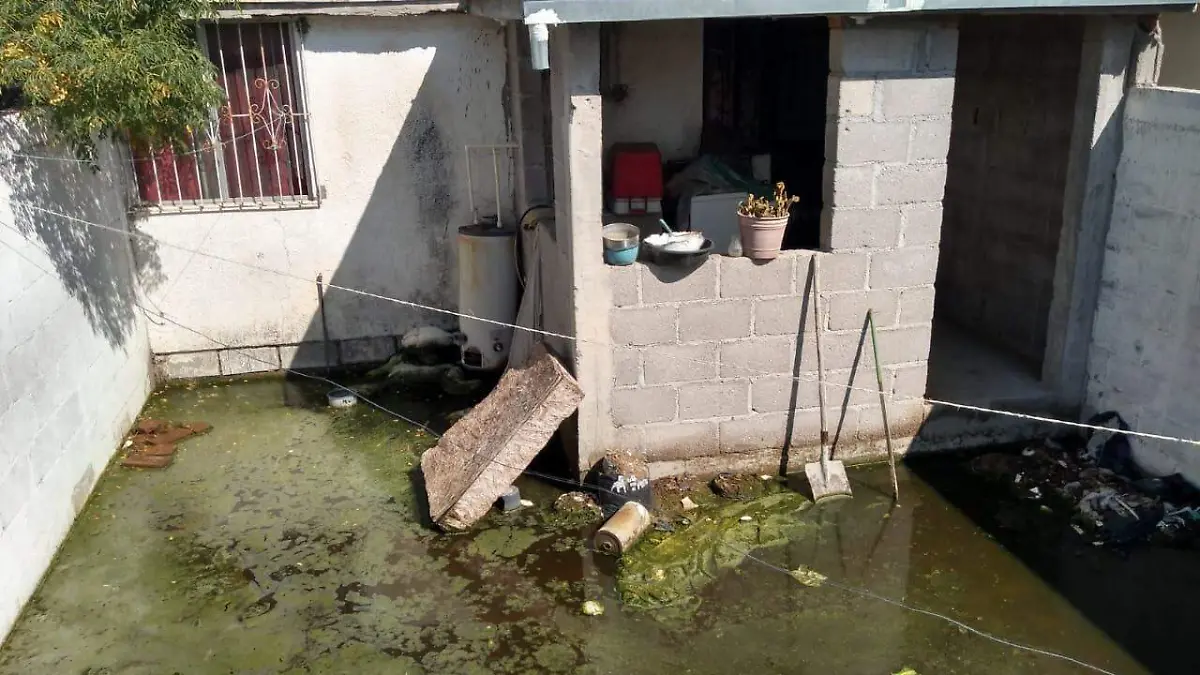 Patio, foco de infecciòn