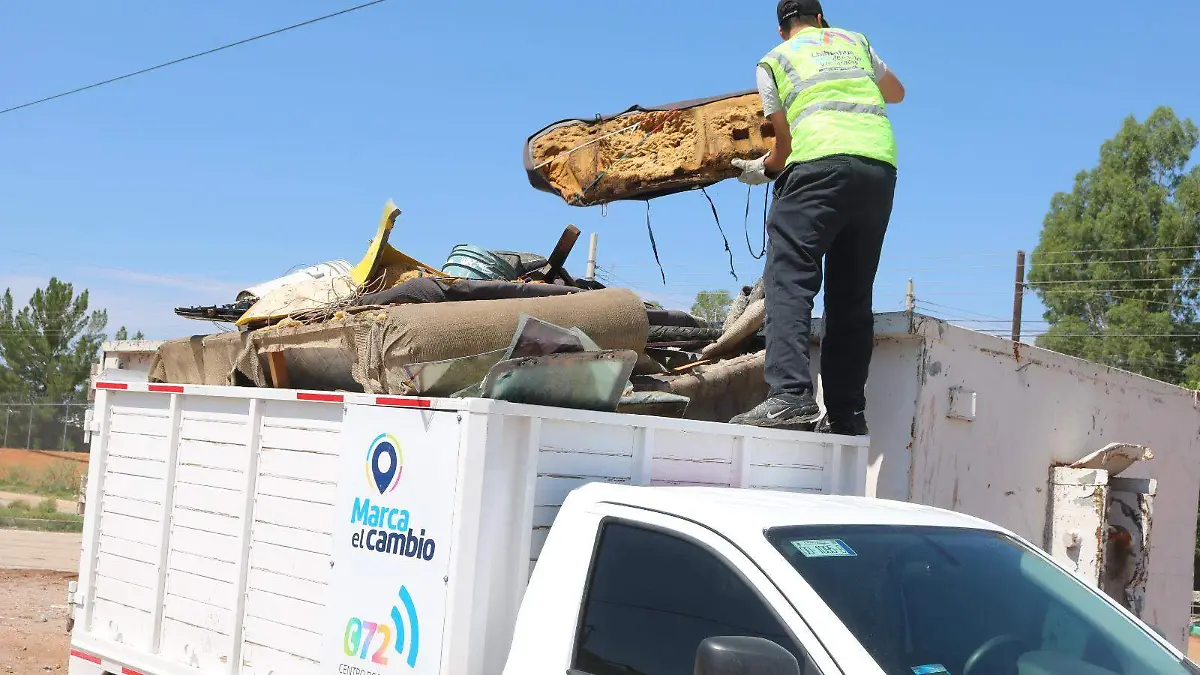 WhatsApp Image 2023-08-15 at 9.50.12 AM