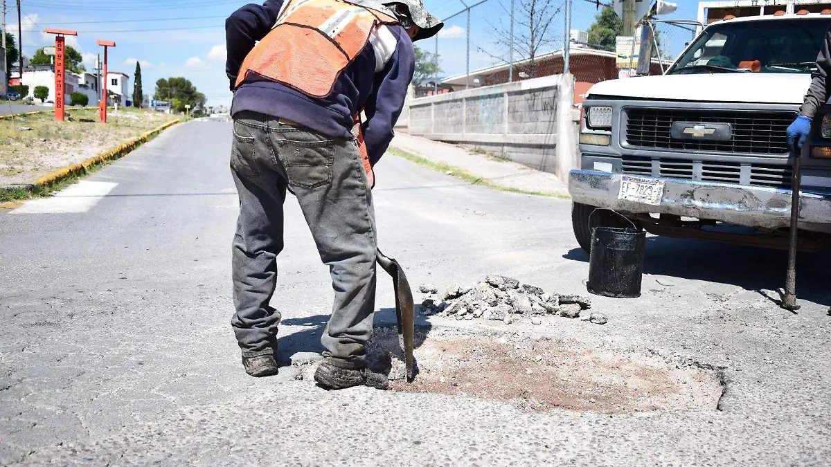 WhatsApp Image 2023-05-17 at 6.05.17 PM