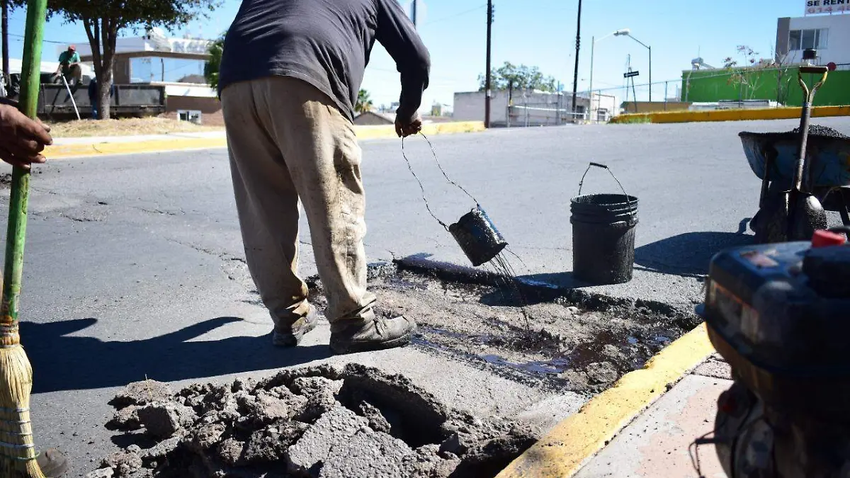 baches