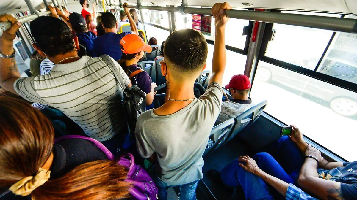 WhatsApp Image 2023-03-28 at 11.24.44