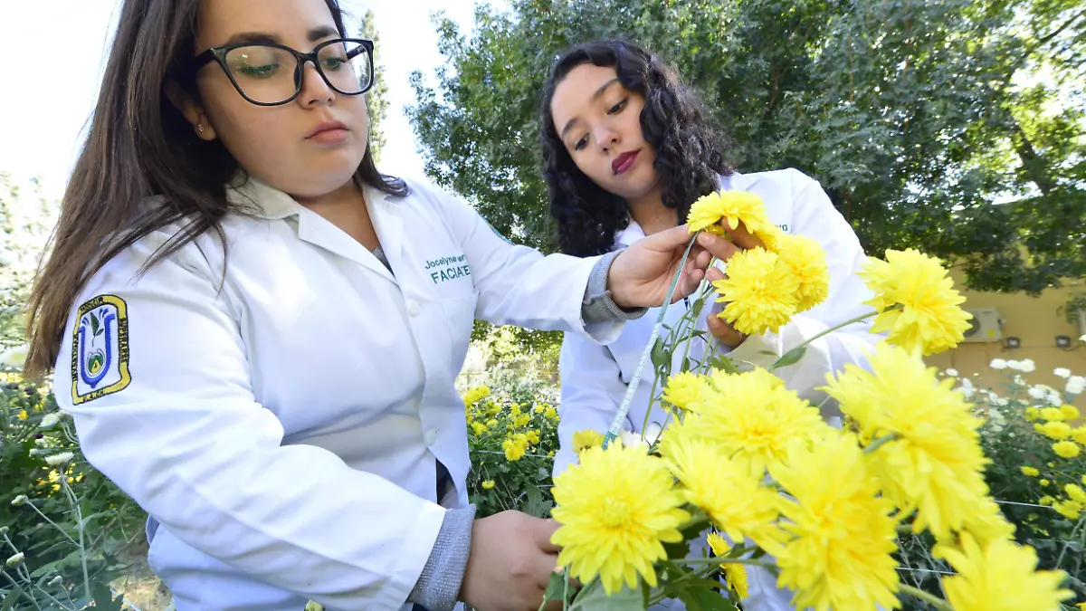 FACIATEC alumnos flores  (78)