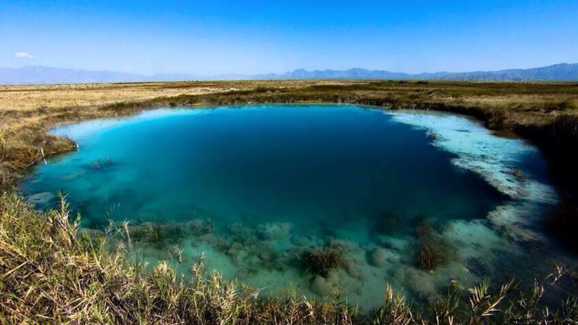 cuatro ciénegas | poza azul