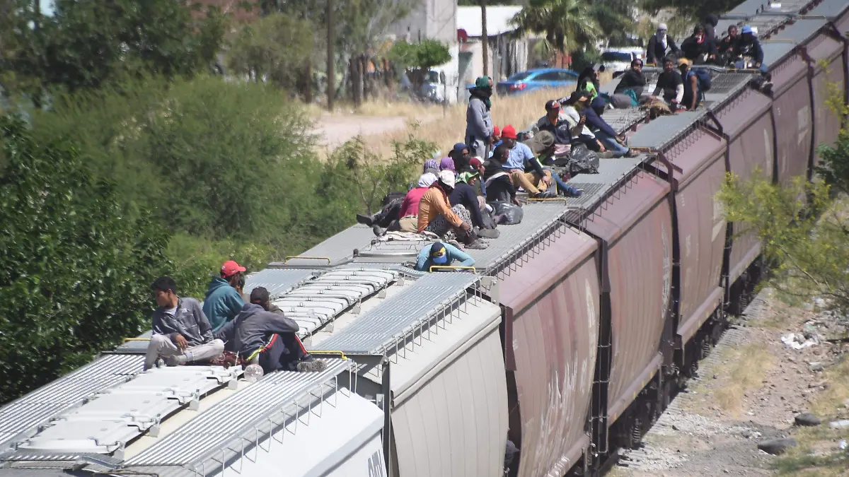 Indocumentados rumnbo a Juarez en el trean cargero (11)