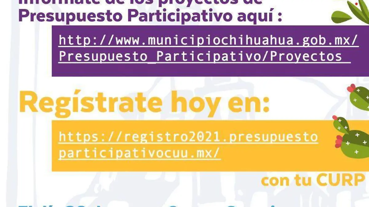 presupuesto participativo