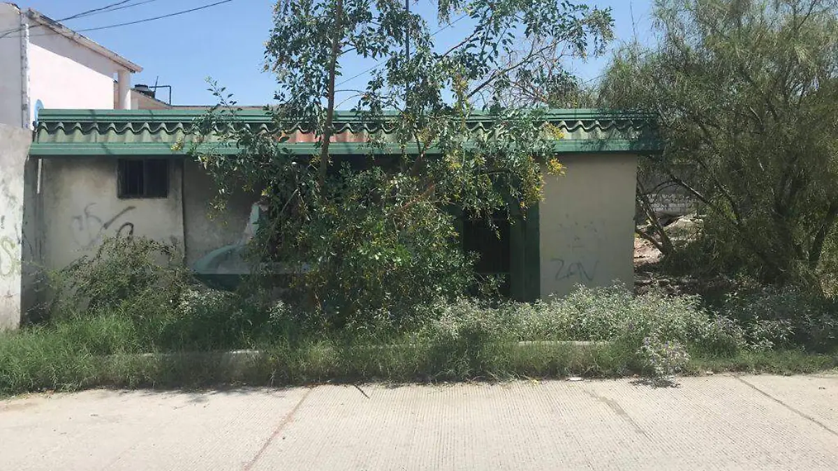 WhatsApp Image 2021-07-16 at 12.46.13 PM