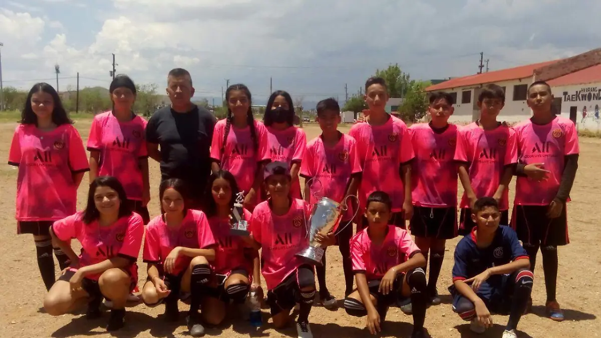 Halcones