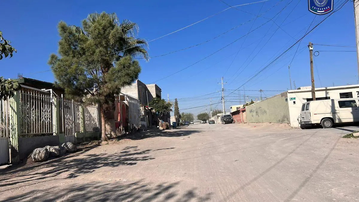 WhatsApp Image 2023-10-19 at 3.02.49 PM