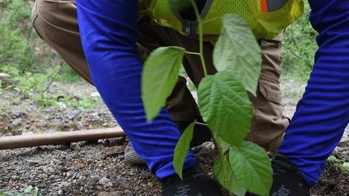 minería medio ambiente 2