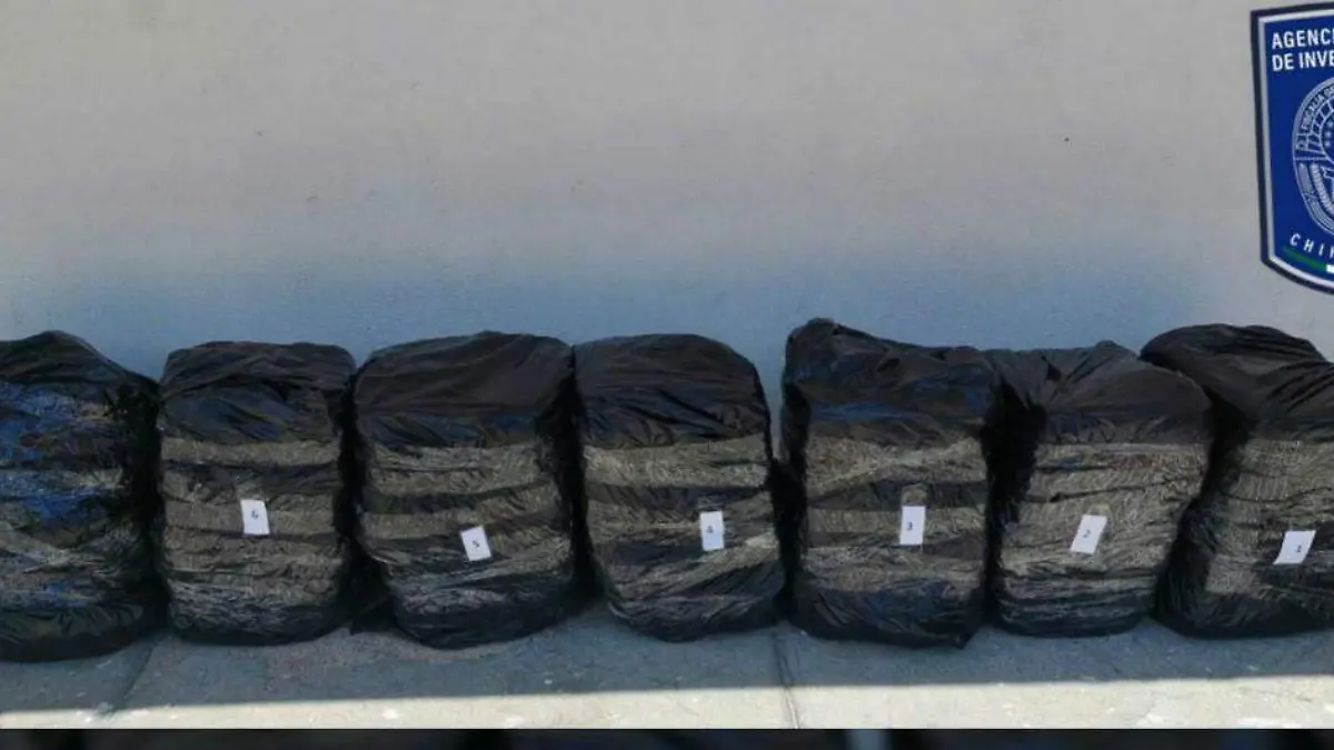 WhatsApp Image 2023-07-07 at 11.25.26 AM