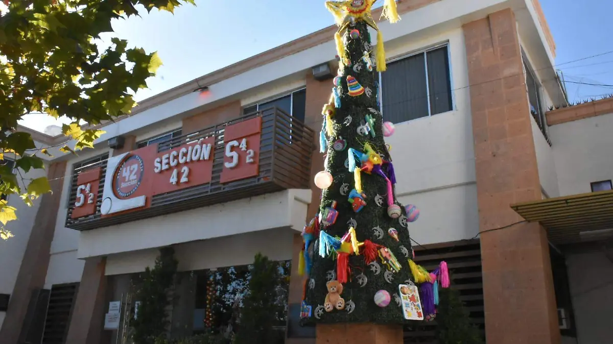 WhatsApp Image 2022-12-17 at 16.41.57