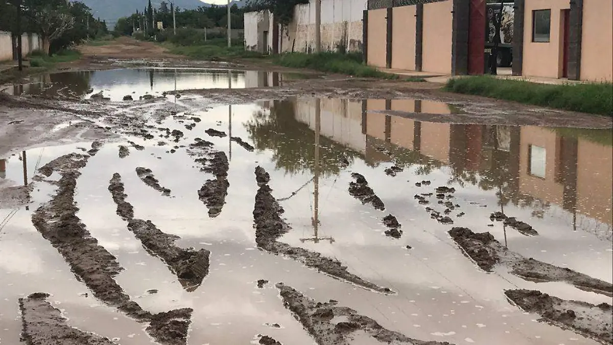 Pantano 2