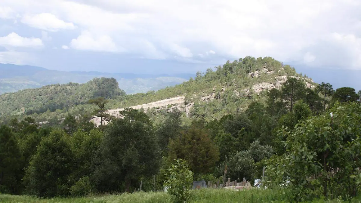 WhatsApp Image 2020-07-07 at 13.47.51