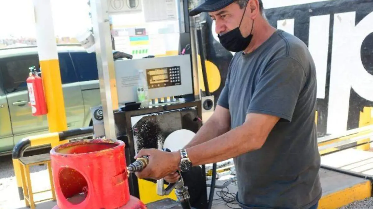 WhatsApp Image 2022-04-17 at 2.46.50 PM