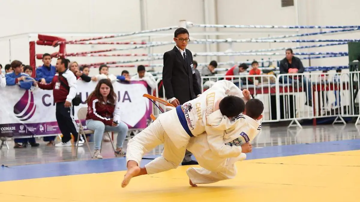 SERGIO-JUDO FUENTE ICHD-4 COLAS 