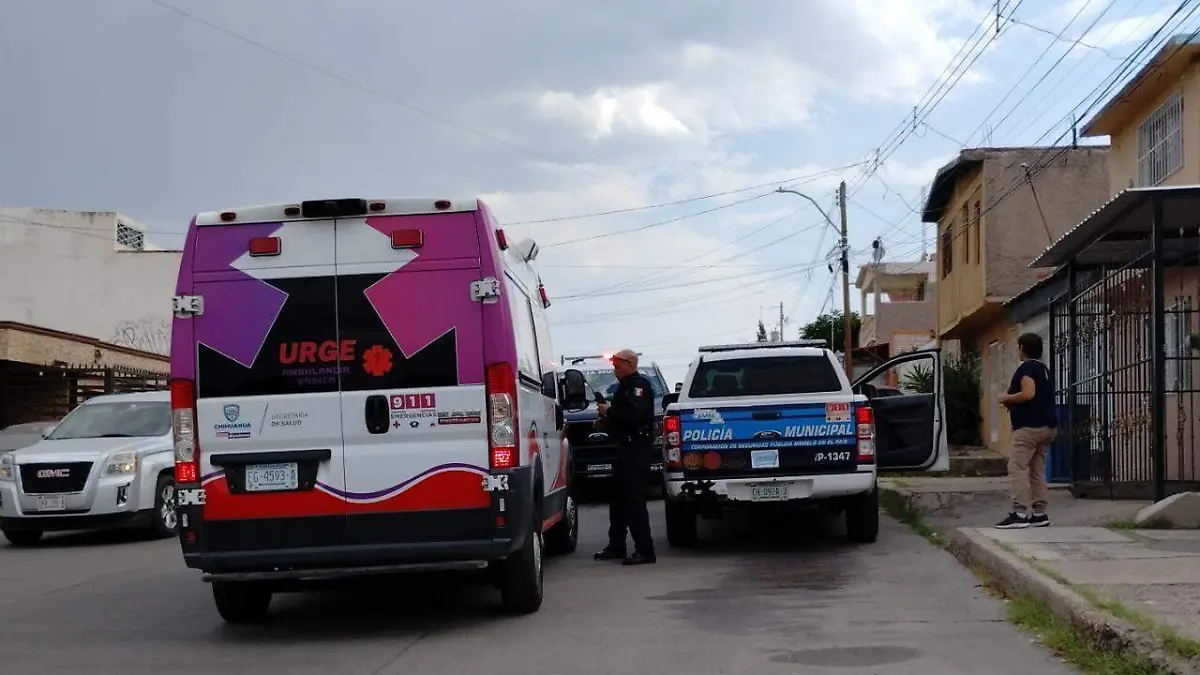 WhatsApp Image 2023-06-24 at 6.11.11 PM