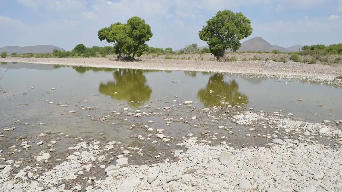 WhatsApp Image 2023-07-05 at 3.47.57 PM