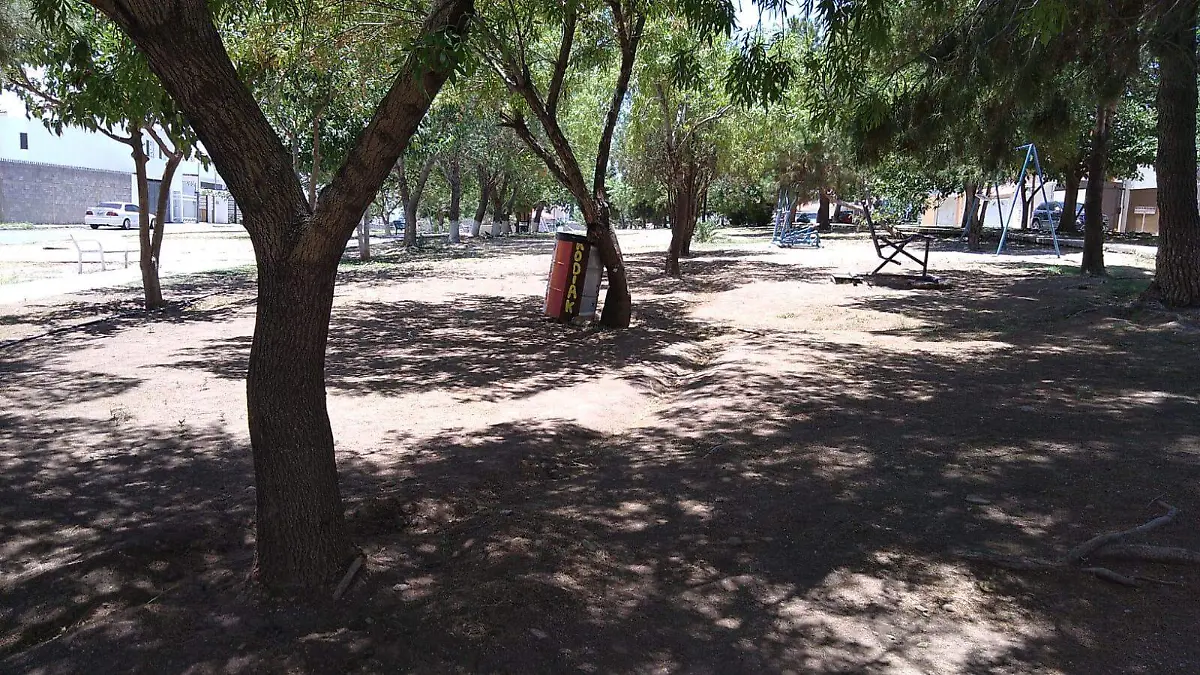 WhatsApp Image 2021-06-24 at 1.55.41 PM