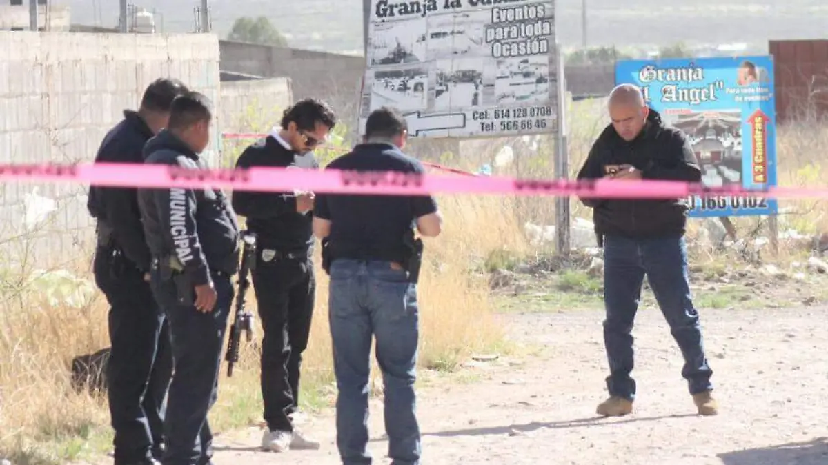 WhatsApp Image 2023-03-30 at 10.53.49