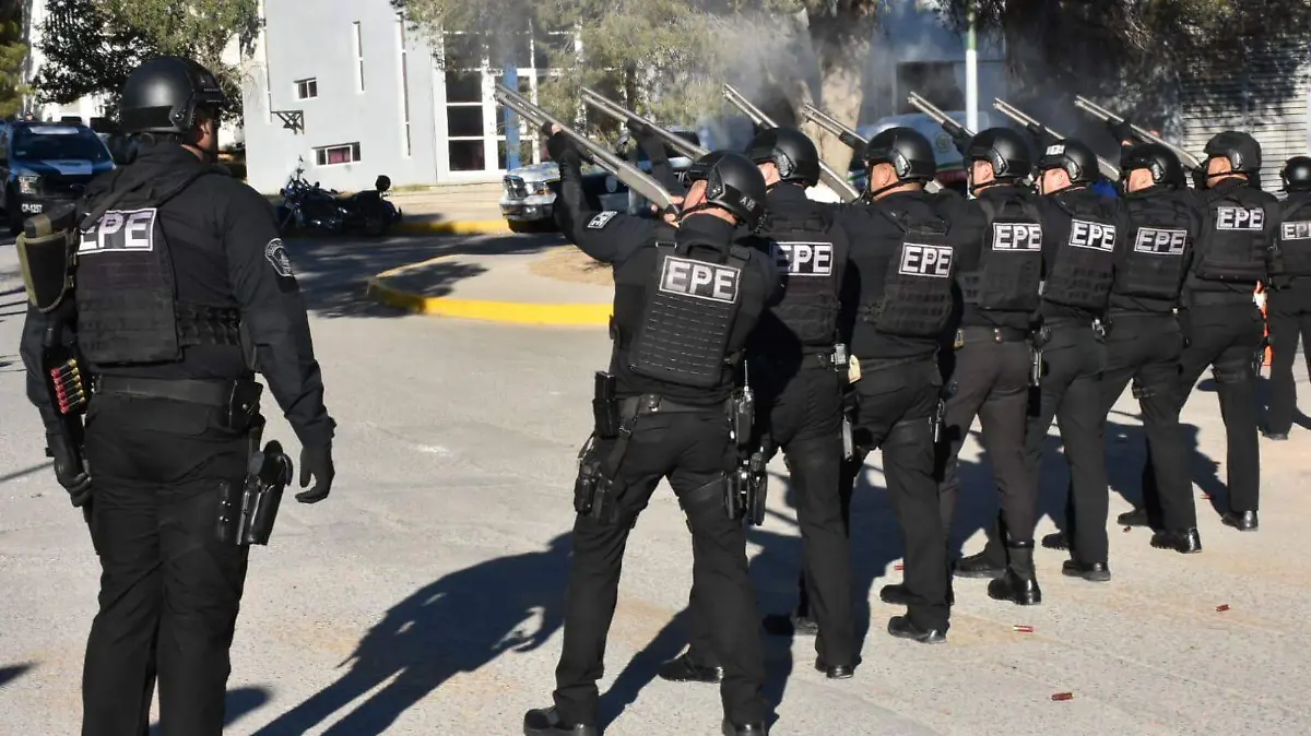 WhatsApp Image 2023-01-02 at 13.29.43