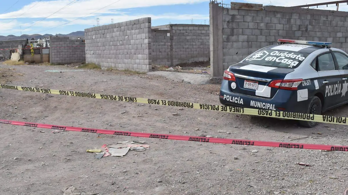 WhatsApp Image 2021-12-27 at 3.24.39 PM