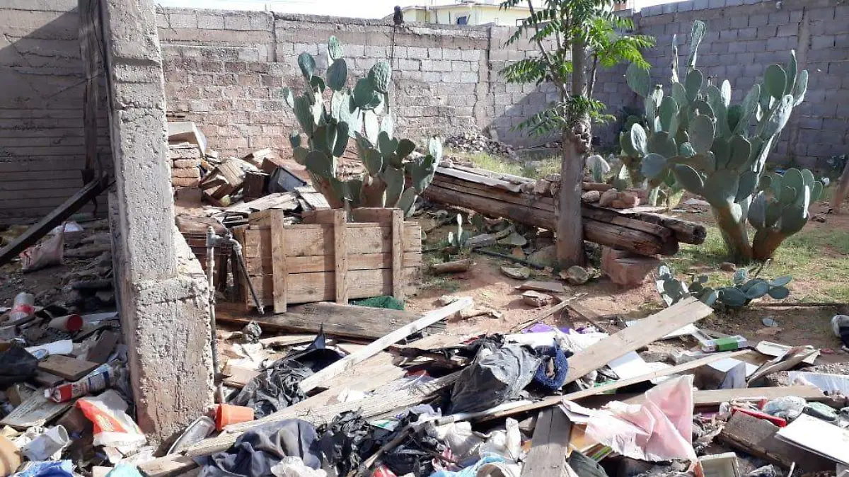 Image 2020-08-13 at 10.18.28 AM (2)