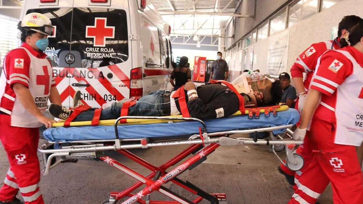 WhatsApp Image 2021-09-26 at 1.50.45 PM