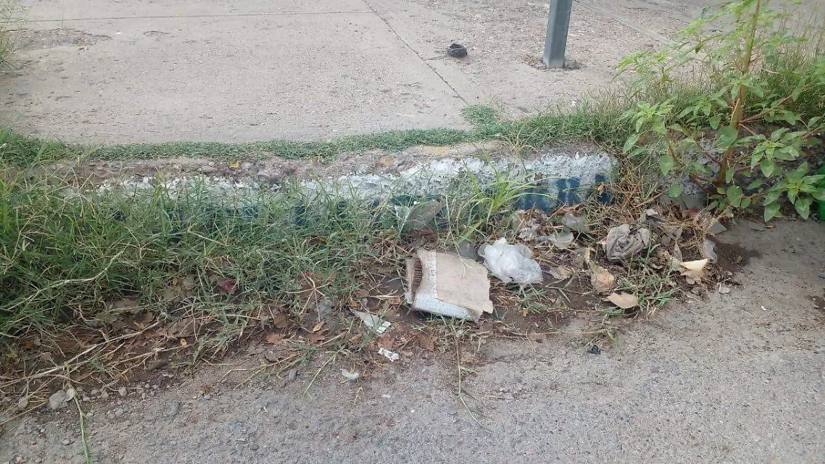 WhatsApp Image 2022-08-07 at 12.44.58 PM