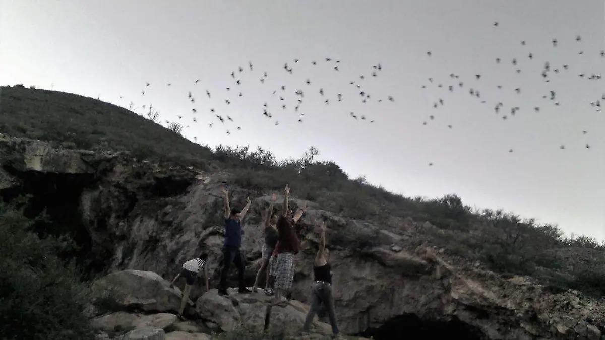 WhatsApp Image 2022-08-13 at 3.28.33 PM