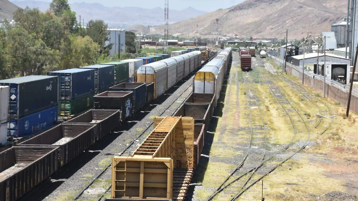 WhatsApp Image 2023-05-11 at 1.12.14 PM