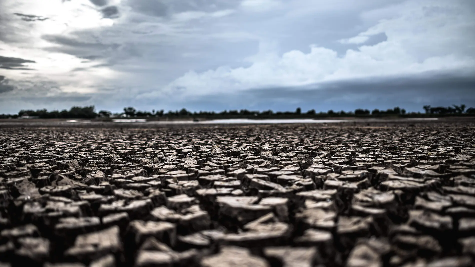 arid-land-with-dry-and-cracked-ground