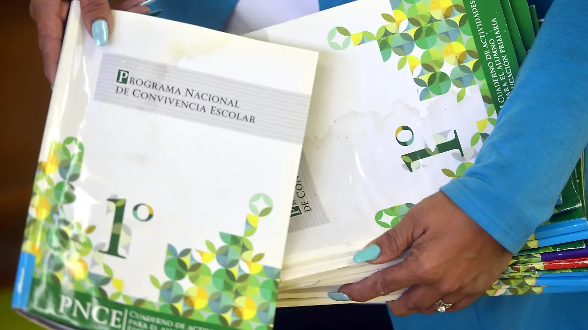 utiles y meterial perdido esc amado nervo  (80)