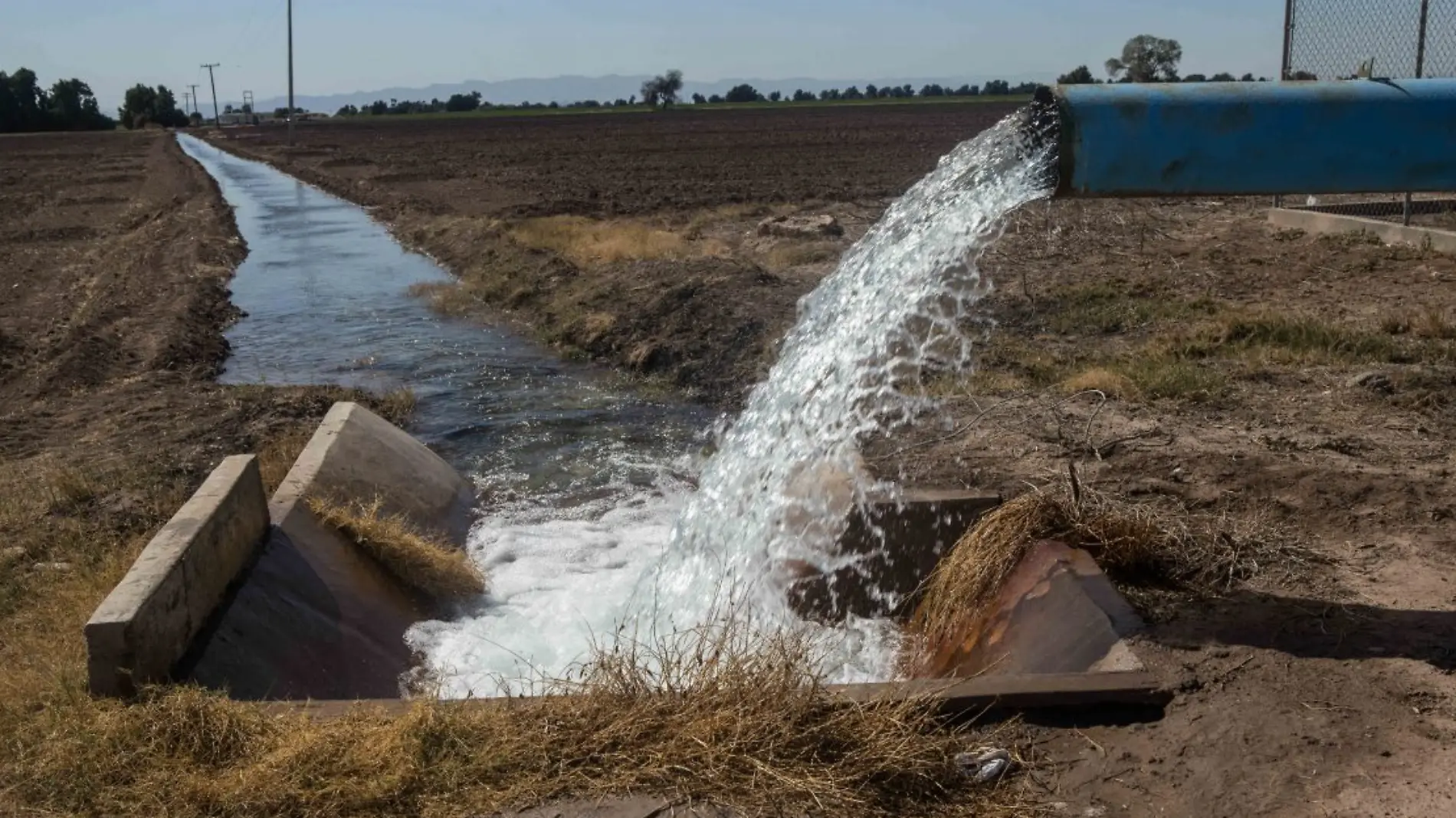 Agua