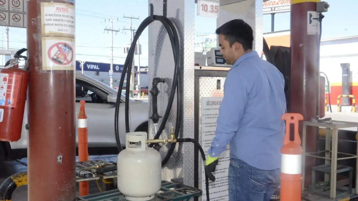 WhatsApp Image 2023-03-11 at 12.48.23 PM