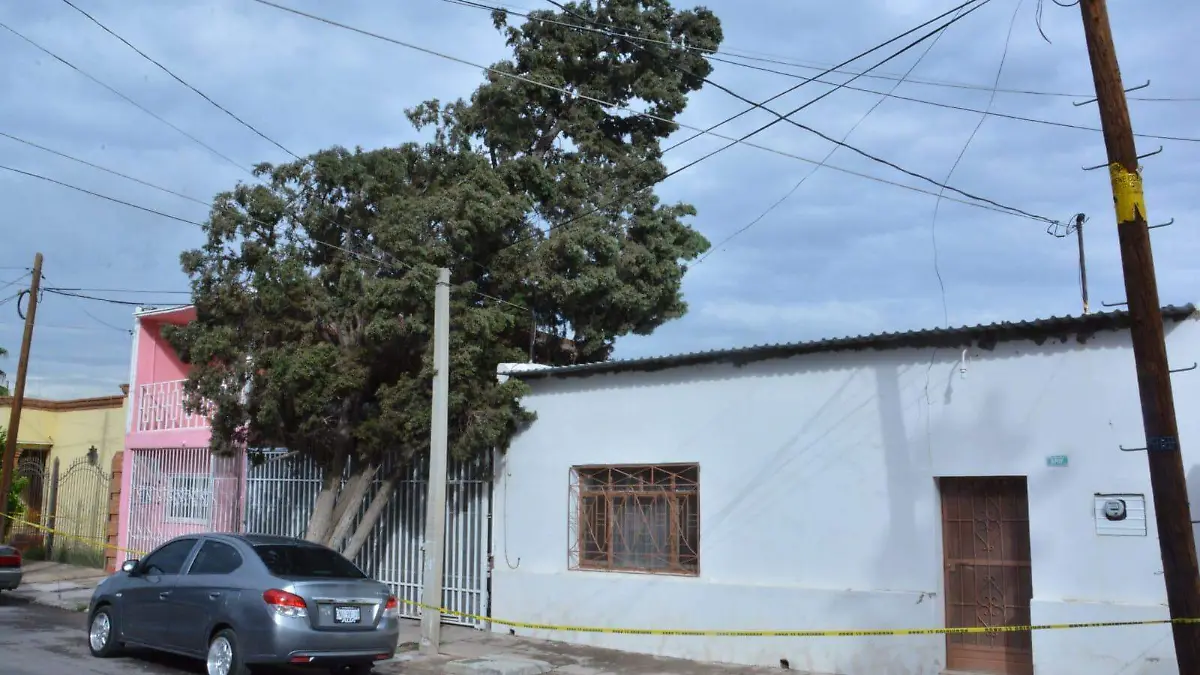 caidadearbol