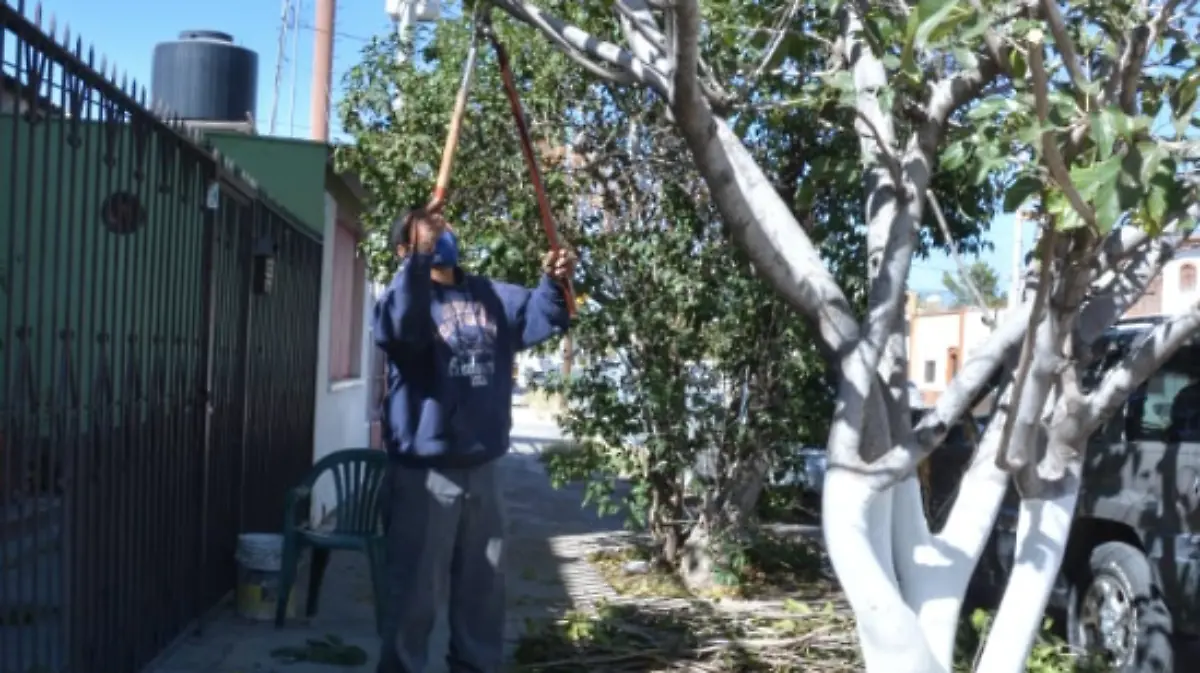 Captura de pantalla 2020-11-26 a la(s) 12.10.55