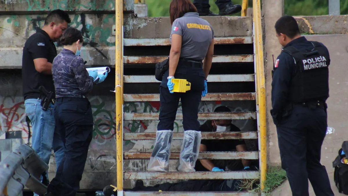 Imagen de WhatsApp 2023-08-29 a las 12.13.22