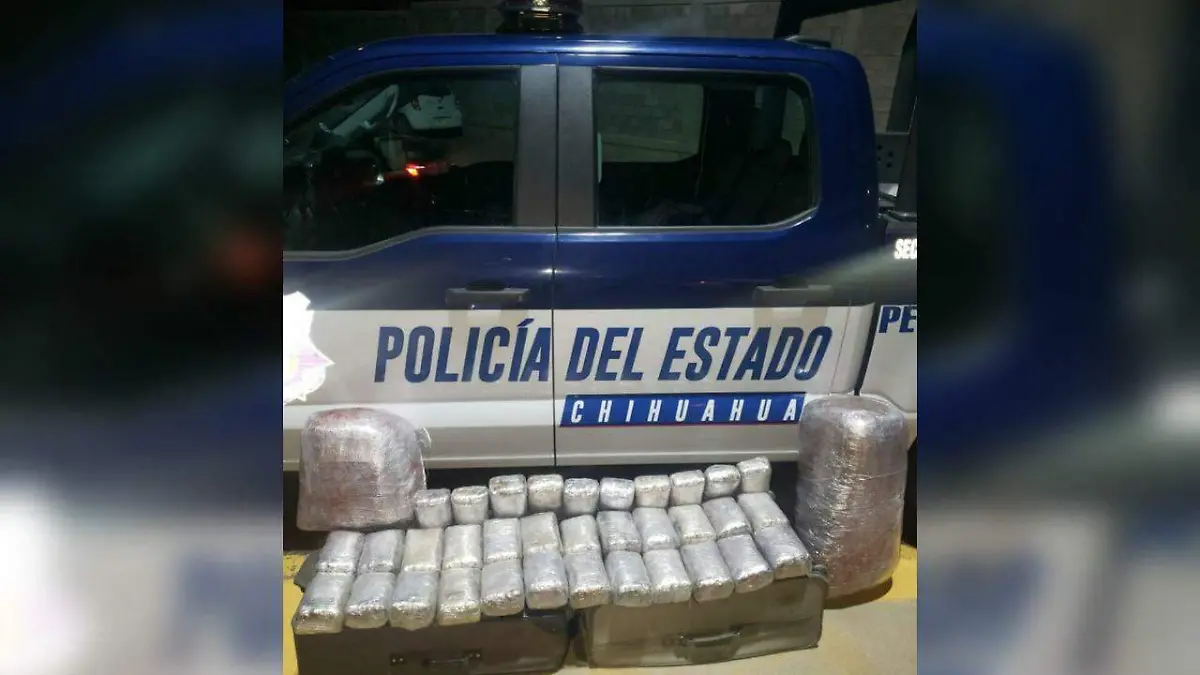 WhatsApp Image 2023-03-23 at 12.52.40 PM (1)