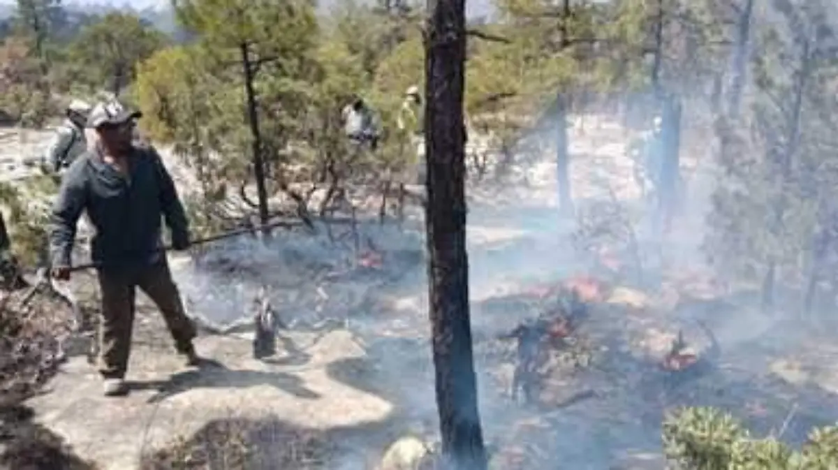 incendio forestal