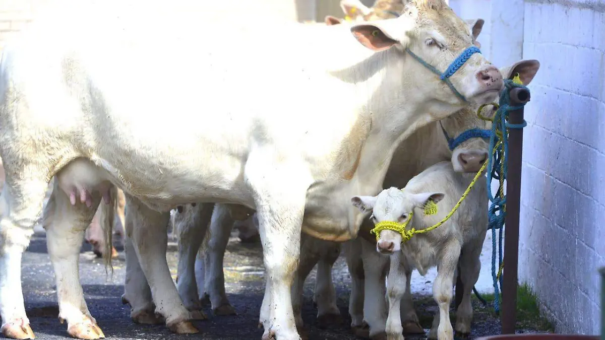 5bd4e861-b915-41dc-8647-a119324f5f57