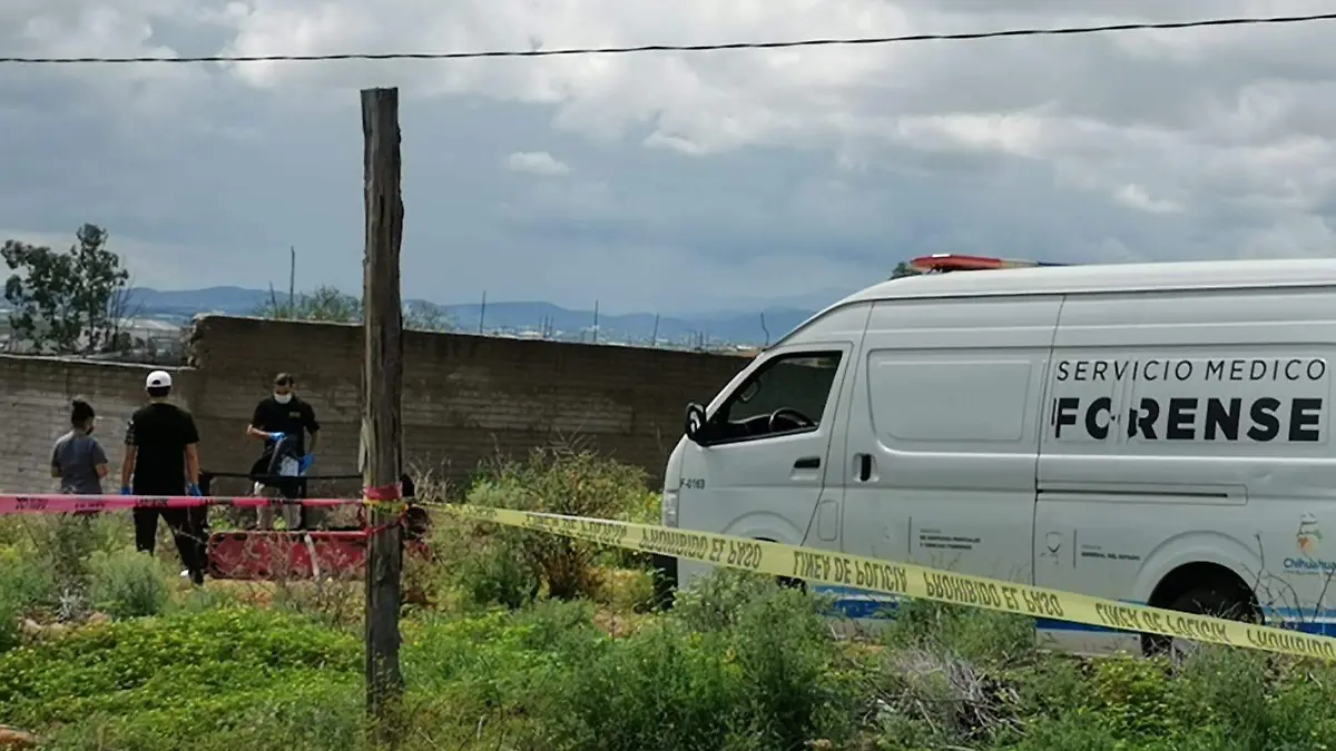 WhatsApp Image 2022-08-25 at 12.42.09 PM (1)