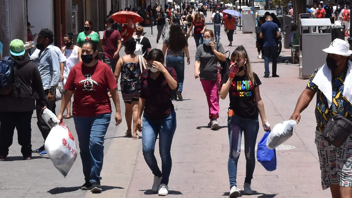 MOVILIDAD EN PLENO SOL (11)