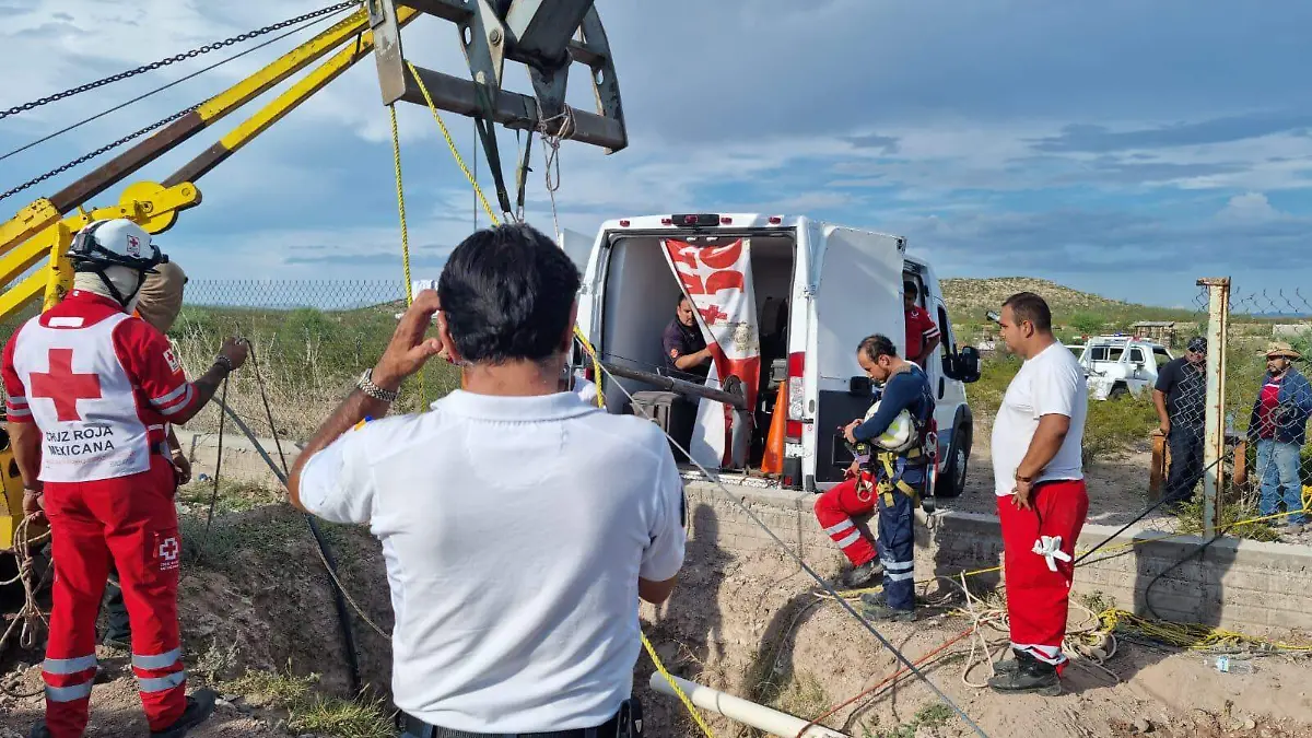 WhatsApp Image 2023-07-14 at 1.40.50 PM