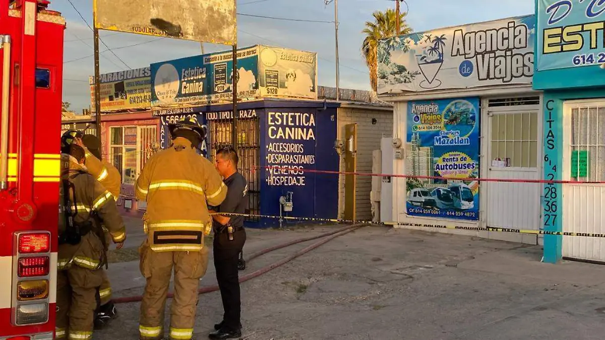 WhatsApp Image 2023-04-01 at 19.21.56