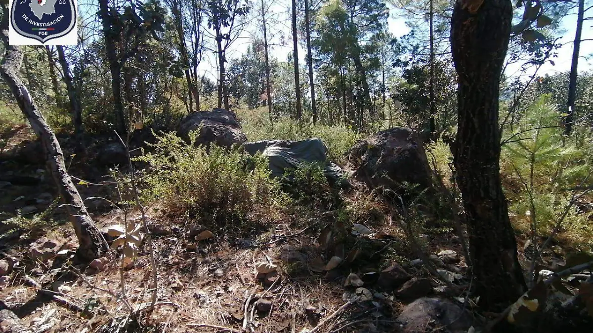 WhatsApp Image 2021-01-14 at 9.40.33 AM