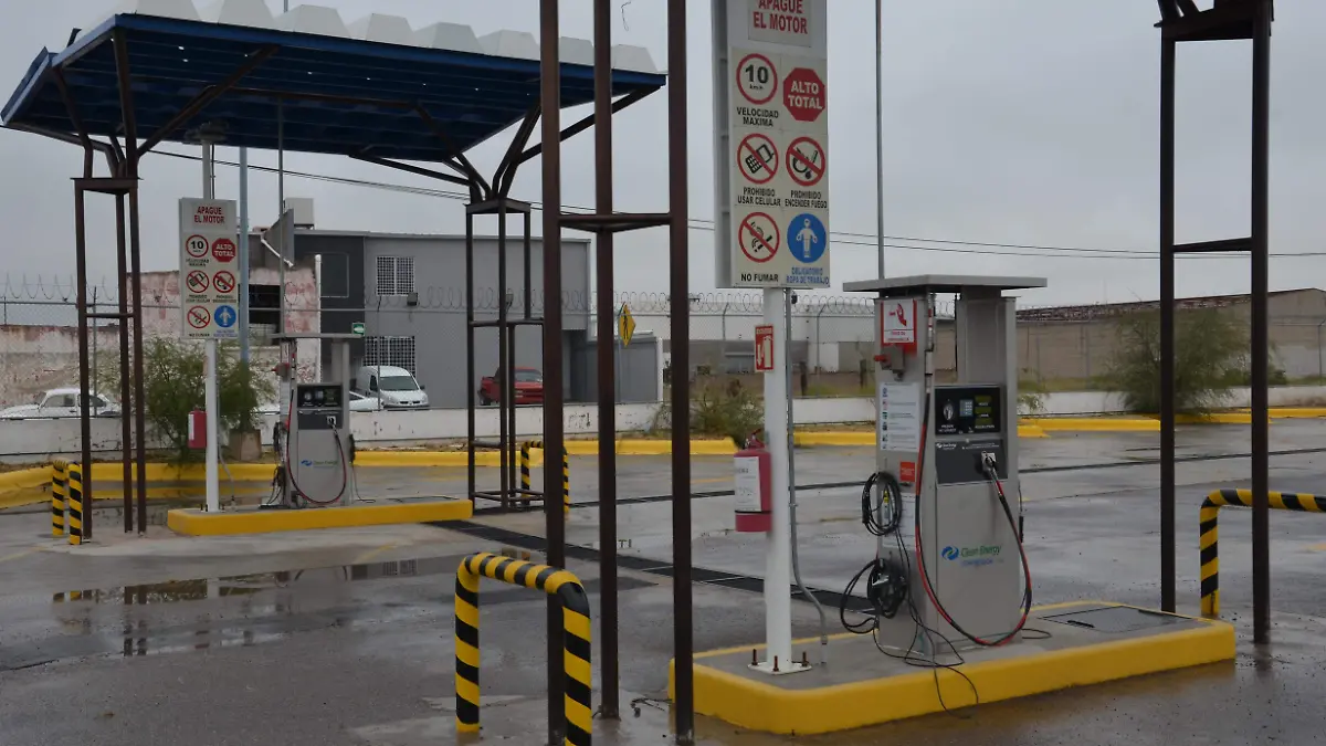 inauracion trasporte ecologico (30)
