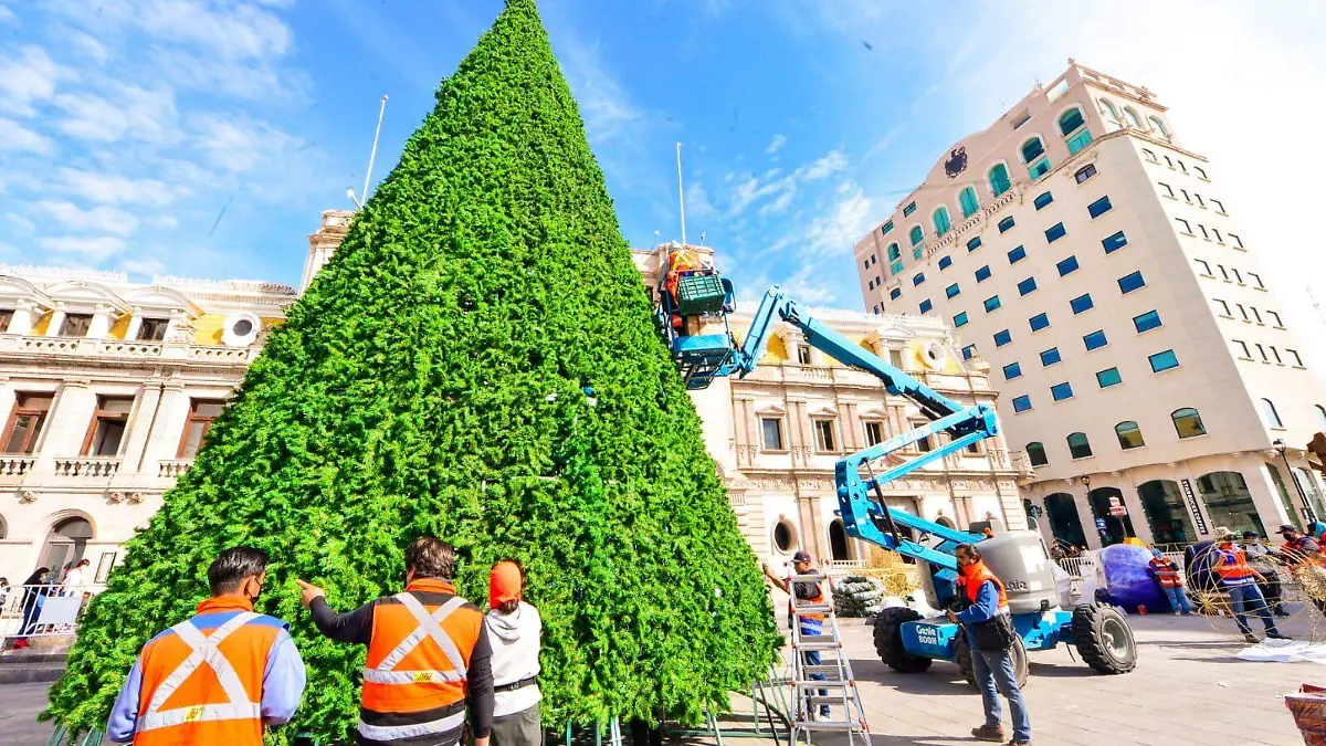 pino navideño