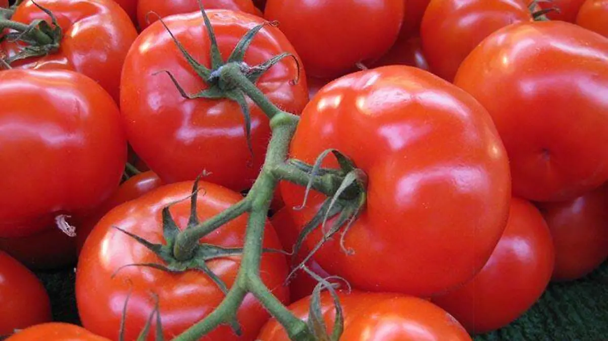tomate