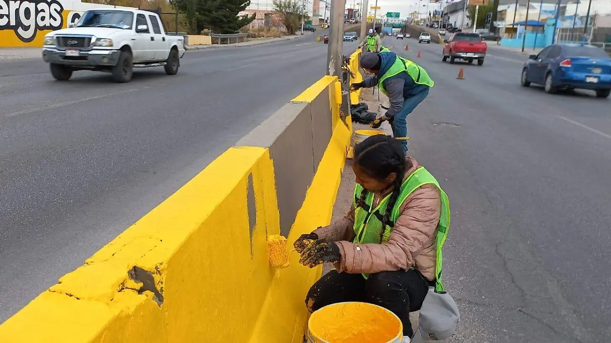 Seguridad vial