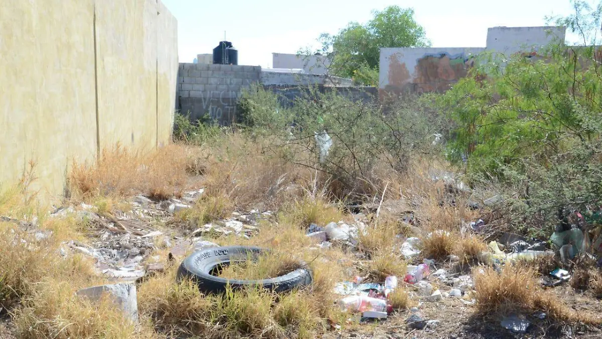 WhatsApp Image 2021-06-18 at 9.31.23 AM